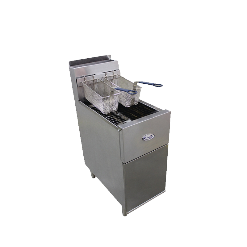 FREIDOR A GAS 2 CESTAS 21 LTS           